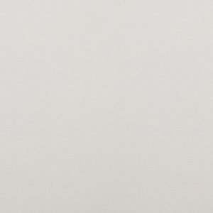 karl-1073