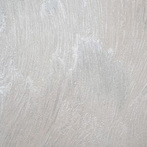 karl-1110