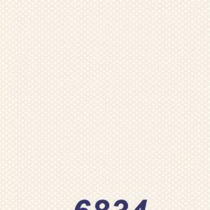 mushroom-6834