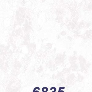 mushroom-6835