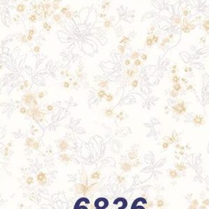 mushroom-6836