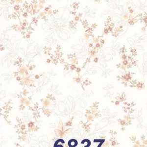 mushroom-6837