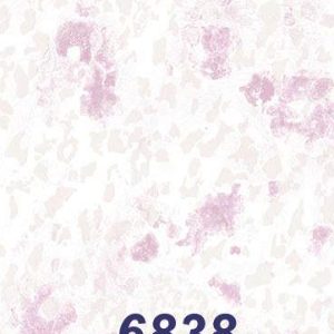 mushroom-6838
