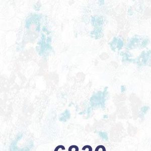 mushroom-6839