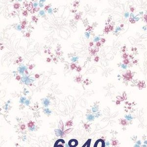mushroom-6840