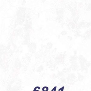 mushroom-6841