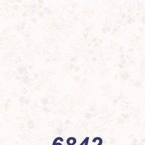 mushroom-6842