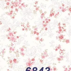 mushroom-6843