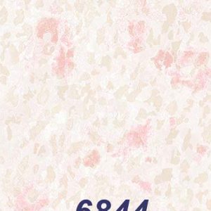 mushroom-6844