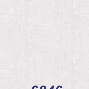 mushroom-6846
