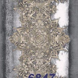 mushroom-6847