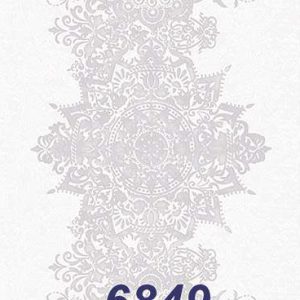 mushroom-6849