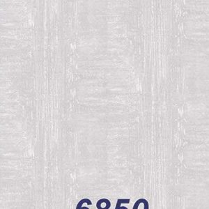 mushroom-6850