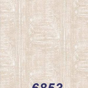 mushroom-6853