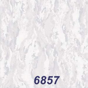 mushroom-6857