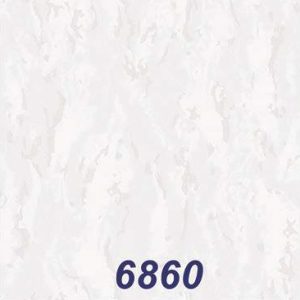mushroom-6860