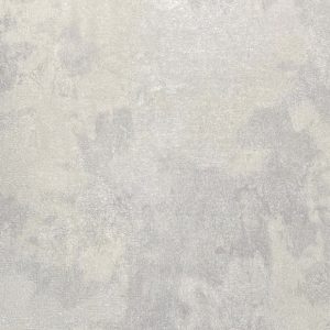 discovery-1039