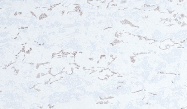 کاغذ دیواری کریستال کد ۷۷۲۷