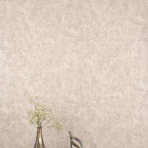 trends-6187