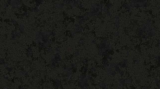 brand-4019