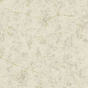 brand-4052