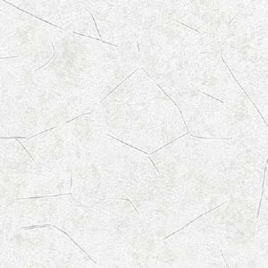 brand-4053