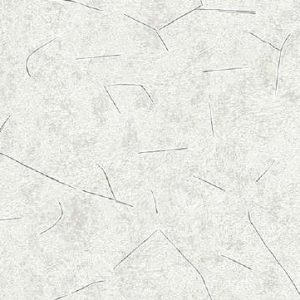 brand-4054