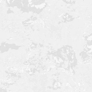 brand-4079