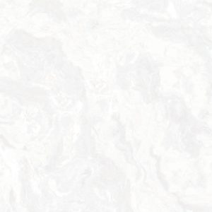 gool-9968