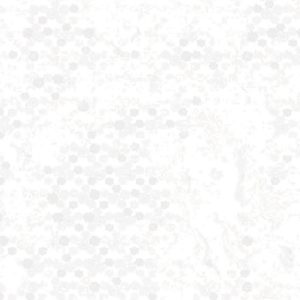 gool-9969