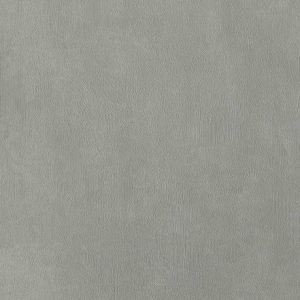 dion-A278