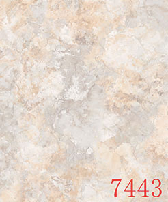 b2-7443