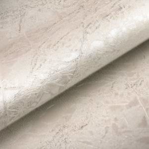 titanium-11008