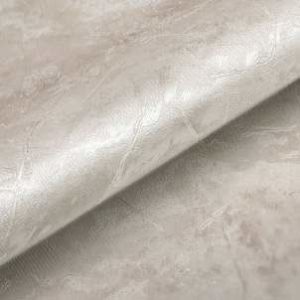 titanium-11009
