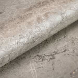 titanium-11010
