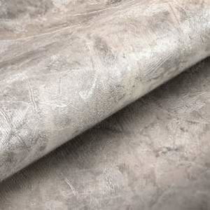 titanium-11011