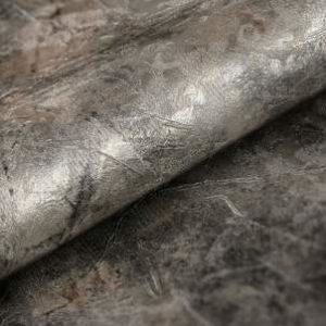 titanium-11013