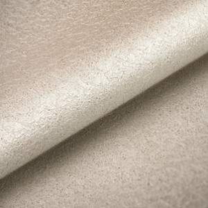 titanium-11019