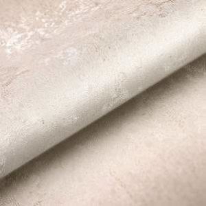 titanium-11031