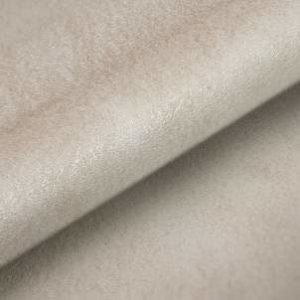 titanium-11101