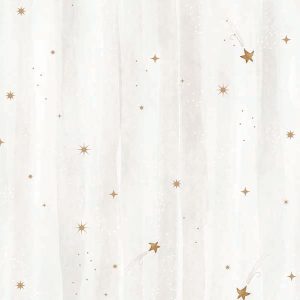 FANTASIA-507024