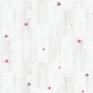 FANTASIA-507053