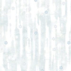 FANTASIA-507156