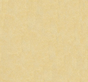 کاغذ دیواری بلانش کد 105210